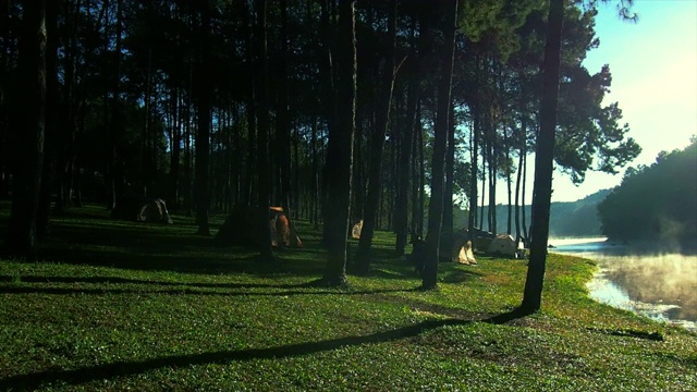 mahongsorn的松树和日出视频素材