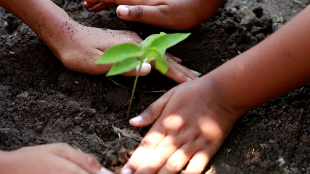 男孩种一棵新树，概念拯救地球，拯救世界，拯救地球，生态概念视频下载