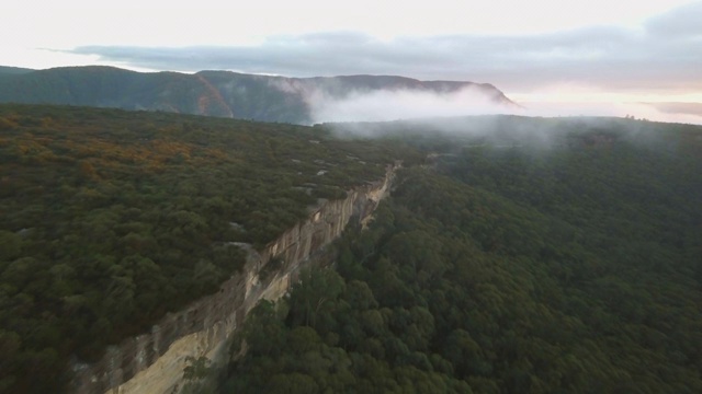 航拍:澳大利亚蓝山，高山丛中厚厚的云层视频素材