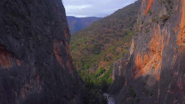 空中下降:在令人惊叹的山脉之间的邦戈尼亚峡谷的巨大裂缝，邦戈尼亚国家公园，澳大利亚视频素材