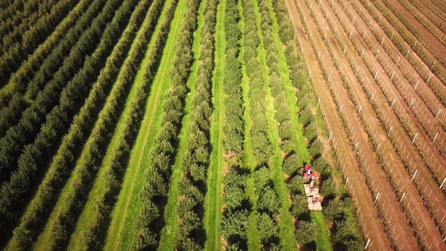 空中农业田间射击拖拉机通过夏季玉米田健康食品生产理念视频下载