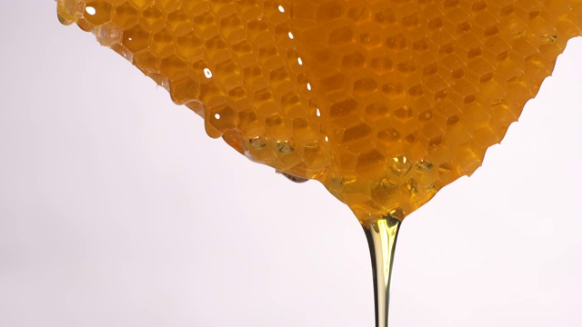 (实时)蜂蜜从蜂巢流动与复制空间视频素材