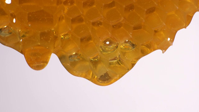 (实时)蜂蜜从蜂巢流出视频素材