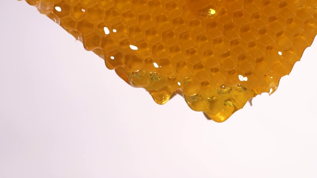 (慢镜头)蜂蜜从蜂巢流出，复制空间视频素材