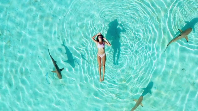 航拍:法属波利尼西亚摩尔里亚海域，鲨鱼围绕着一个漂浮的女人游泳视频下载