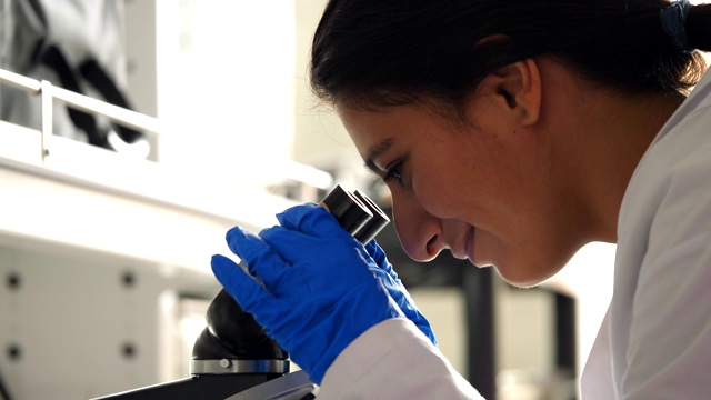 CU女科学家在实验室使用显微镜视频下载