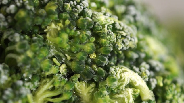 冷冻西兰花宏。冷冻蔬菜视频素材