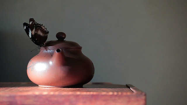 中国茶壶蝴蝶木桌绿色墙高清画面视频下载