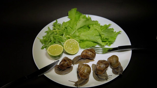 盘子里的蜗牛和绿色蔬菜视频下载