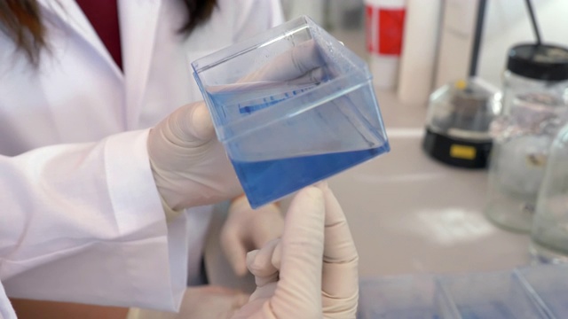 两名科学家在实验室观察蛋白质凝胶的场景，概念科学与技术实验室，科学家在实验室工作视频素材