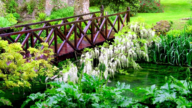 童话桥生动的绿色河木满花的4k观赏花园视频下载