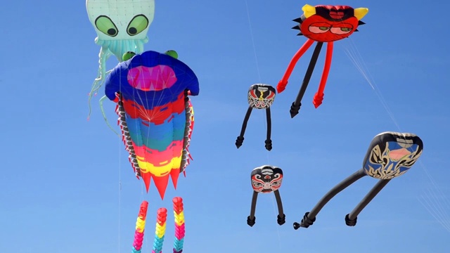西班牙巴伦西亚海滩上一群大风筝，上面画着充气动物的形状视频素材