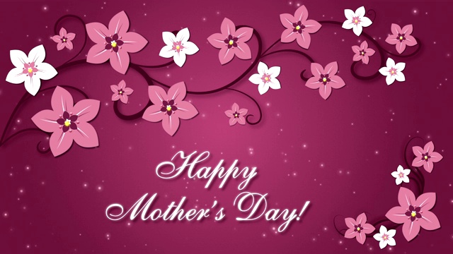 祝您母亲节快乐，以深粉色为背景的花朵视频下载