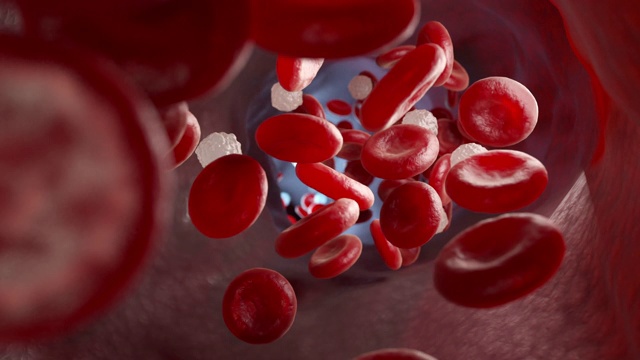 红血球，白细胞和静脉视频下载