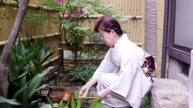 日本茶道大师示范如何用传统方式洗手视频素材