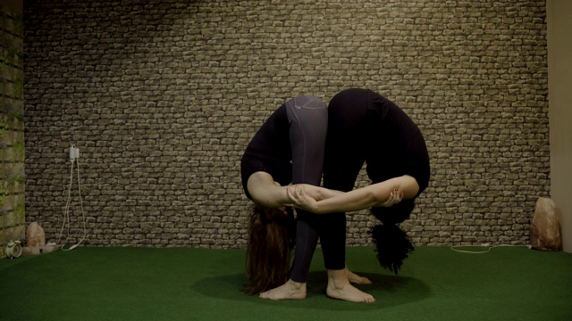 双人瑜伽——力量瑜伽练习视频下载