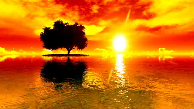 在美丽的日落看到的一棵树视频素材