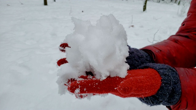 人们从地上取雪，在森林里享受美丽的冬天视频下载