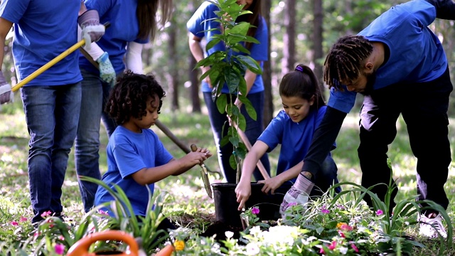 环境美化。志愿者们在春天的时候在公园里种上花、树、植物。视频素材