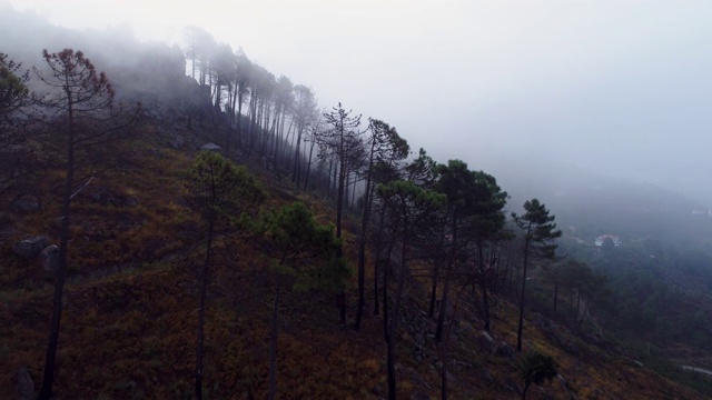 云雾中的山麓鸟瞰图视频素材