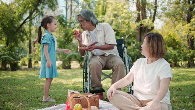 亚洲奶奶和奶奶在公园里放松，听孙女说话。慢动作视频素材