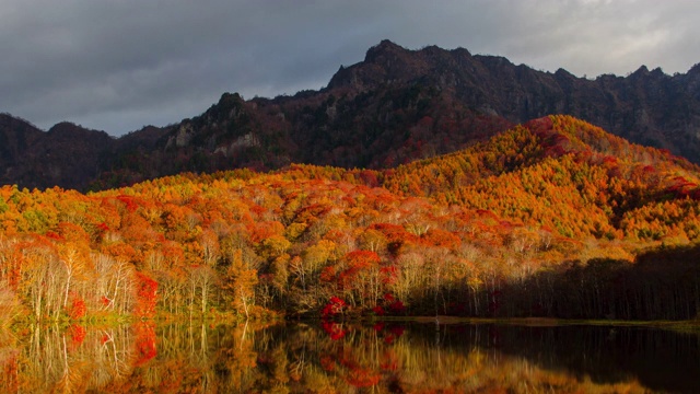 4k时间流逝宽镜头的鹿神池在秋季，长野，日本。视频下载