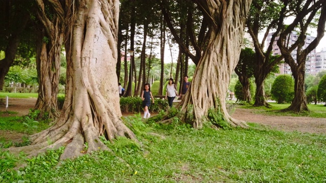 年轻的家庭在台北的一个公园里玩视频素材