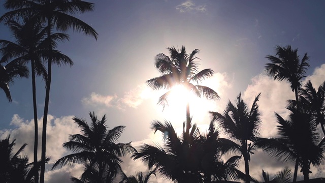 异国情调的海滩。椰子树映衬着日出的热带天空和云彩。暑假去热带地区。视频素材