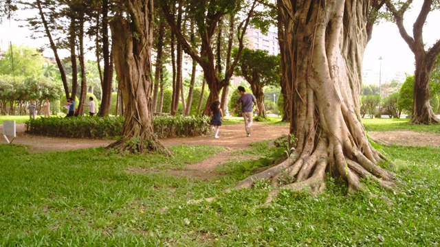 年轻的家庭在台北的一个公园里玩视频素材