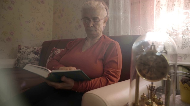 老妇人正在看书视频下载