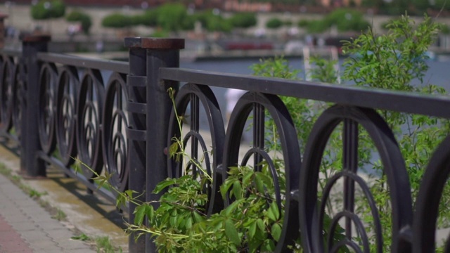 在一个阳光明媚的夏日，城市公园的路堤上有黑色金属的砖元素装饰围栏和绿色植物。特写镜头。摄像机沿着栅栏移动视频素材