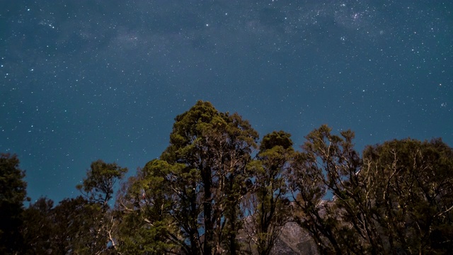 森林里的夜星视频素材