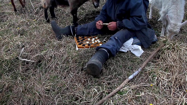 一个衣衫褴褛的老人坐在山上下跳棋，一边吃着自己的一群山羊，身后是一片枯萎的自然景物视频素材