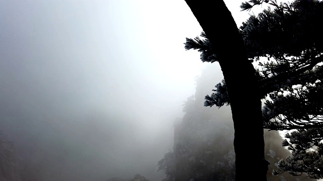 黄山山顶上的雾或黄山上的霜松，黄山，中国视频素材