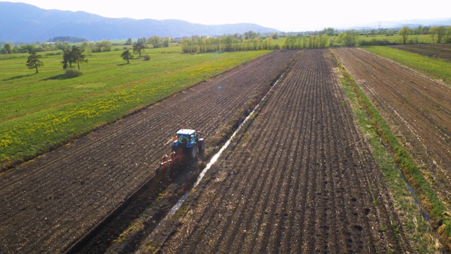 空中农民在一个蓝色拖拉机犁地在美丽的绿色国家视频下载