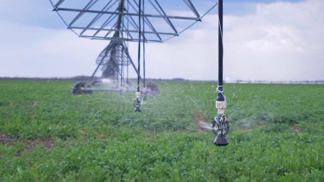 农业经营、灌溉系统在油菜籽大田中的运行近景视频下载