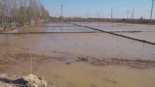 乌兹别克斯坦的农田被淹视频下载