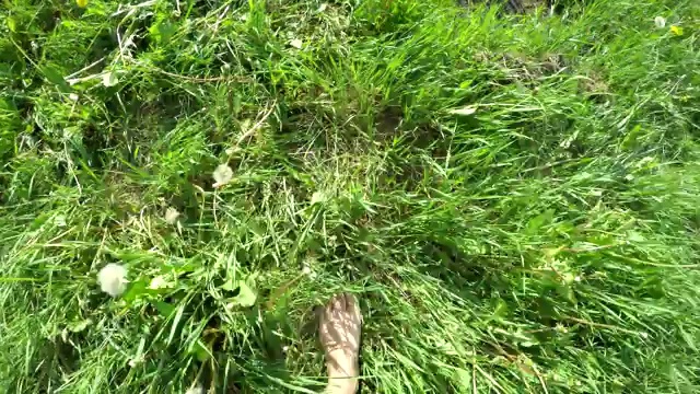 女人赤脚走在绿草旁视频素材