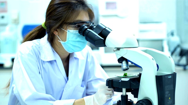 女性植物学家在实验室用显微镜观察植物生长生活视频素材