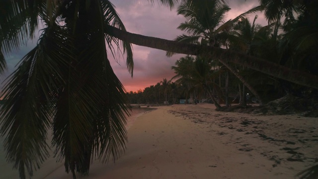 异国情调的岛屿。椰子树和热带海滩。加勒比海的暑假视频素材
