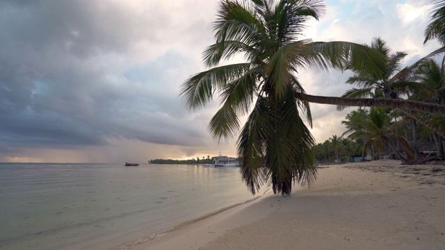 美丽的日出在热带海滩椰子树。蓬塔卡纳度假胜地，多米尼加共和国视频素材