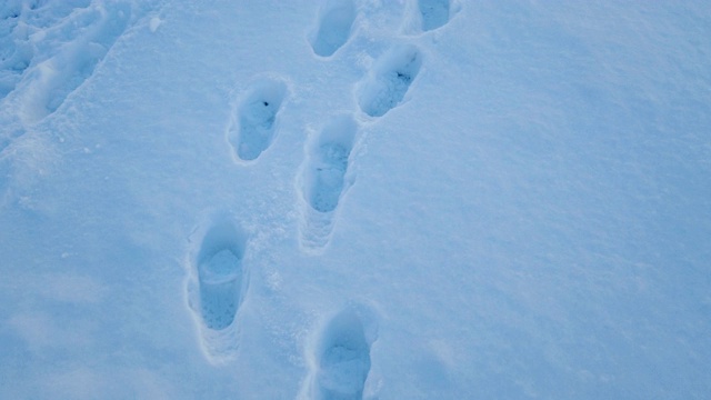 4K脚印踩在雪地上视频下载