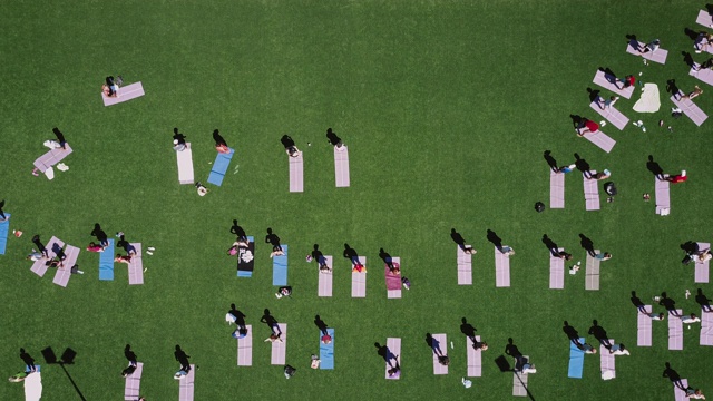 一群人在公园里做瑜伽视频素材