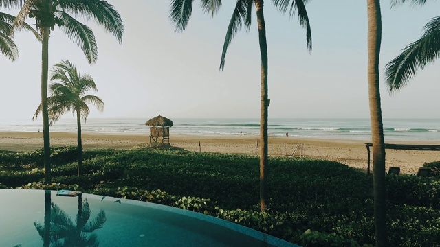 一架照相机沿着棕榈树的海滩飞向大海视频素材