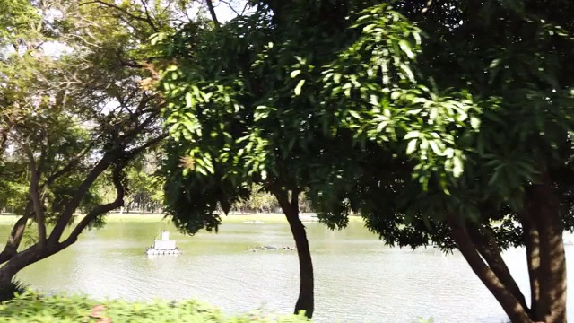 圣保罗的Ibirapuera公园。视频下载
