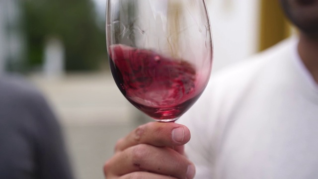 红酒在杯中旋转的慢动作镜头视频下载