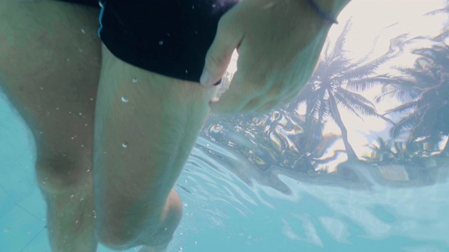 男子游泳运动员在热带棕榈树的背景游泳池跳水。一个戴着护目镜的年轻人暑假在旅游饭店的度假池里游泳。视频下载