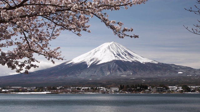 日本富士山、川口湖和樱花。视频素材