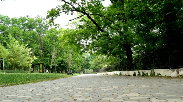 在乌克兰敖德萨市一个城市公园的空旷小巷中，树木环绕。视频下载