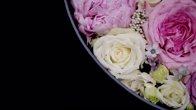 在黑色背景的圆形礼盒中盛开的玫瑰花束的特写镜头视频素材